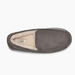 UGG ASCOT SLIPPER